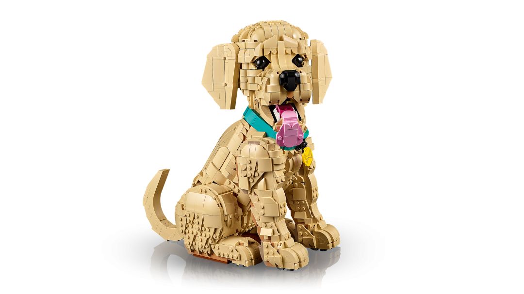 11384 | LEGO® ICONS™ Golden Retriever Puppy