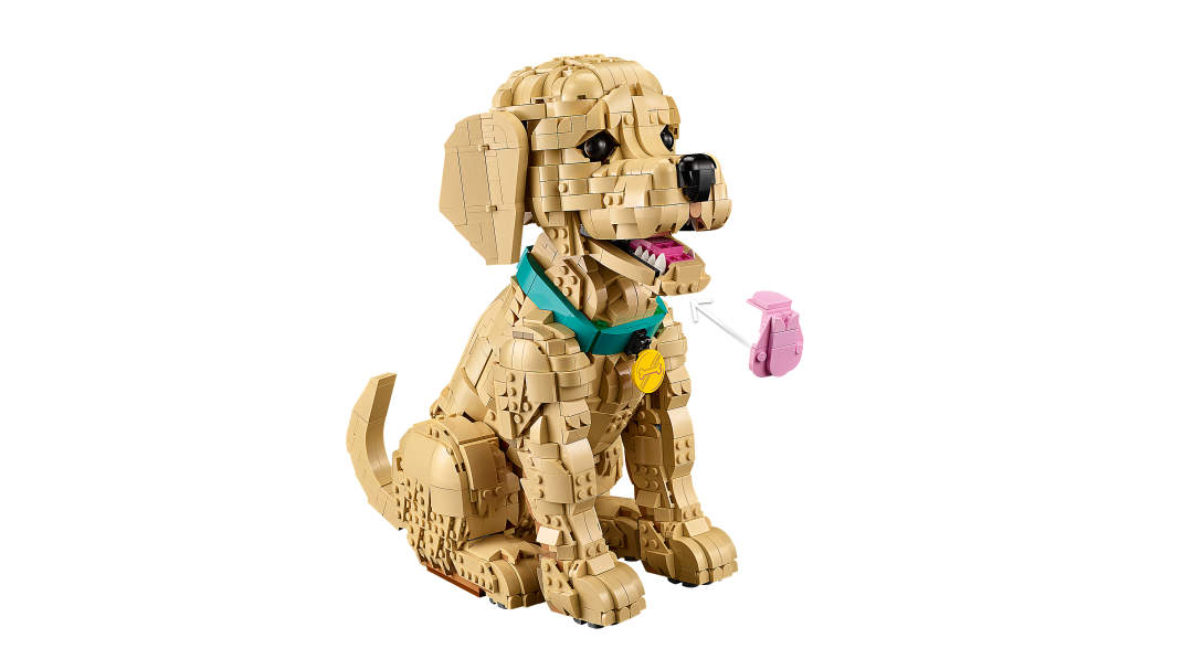 11384 | LEGO® ICONS™ Golden Retriever Puppy